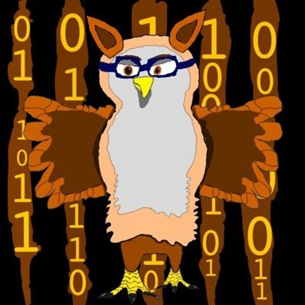 The Tech Owl