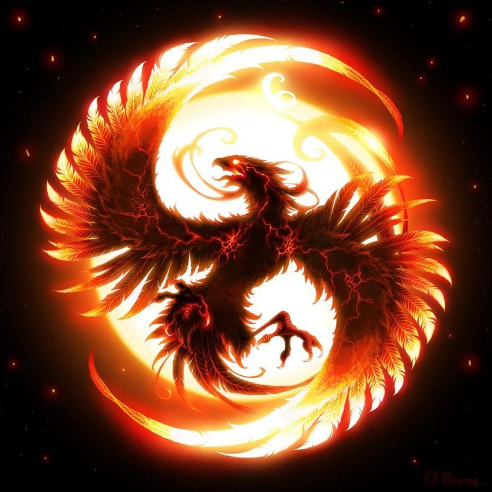 Phenix246