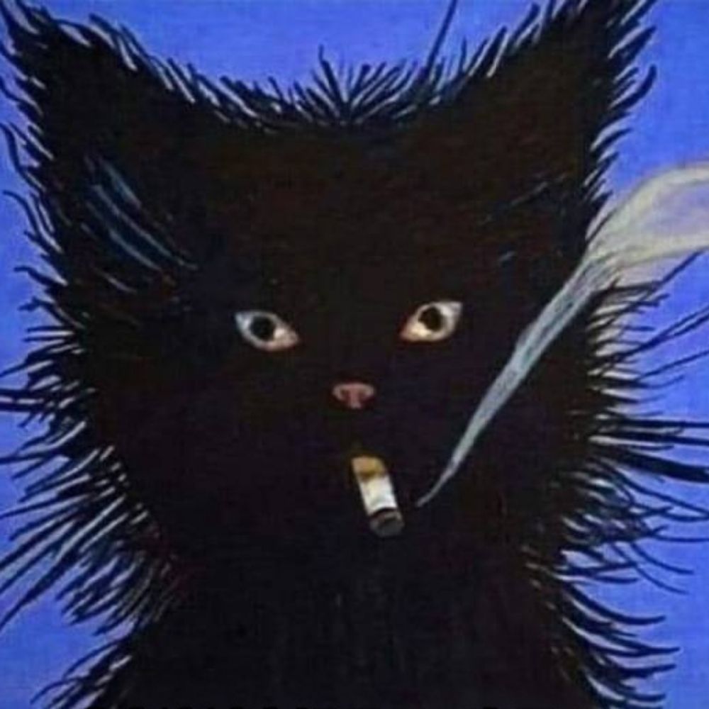 苦木科苦木属苦木