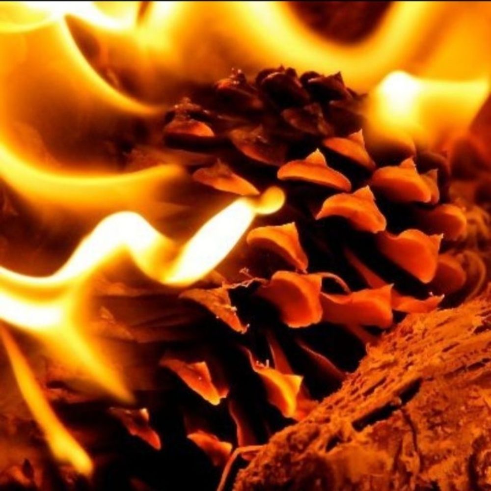 Just Some Casual Arson