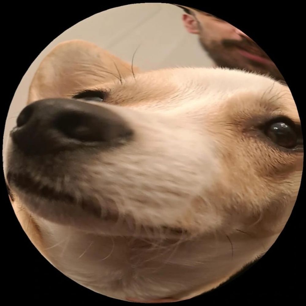 El Jevi
