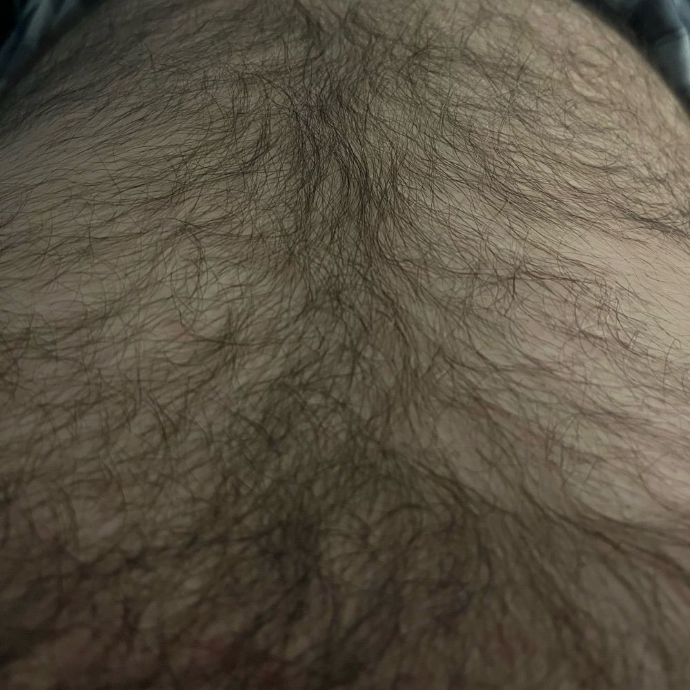 Southern otter