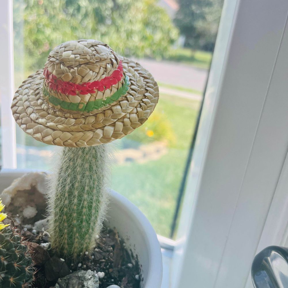 Octopom