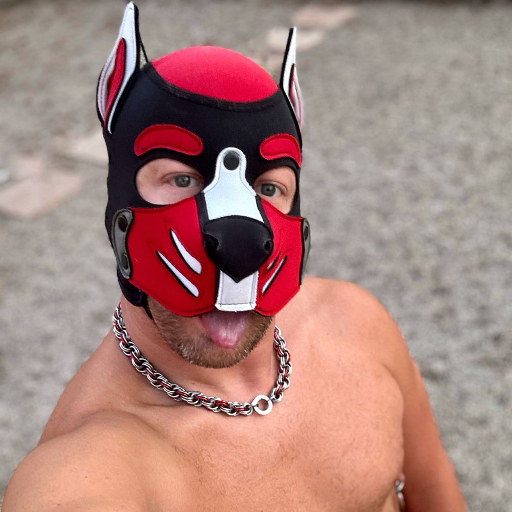 Pup Boomy (Boomerang)