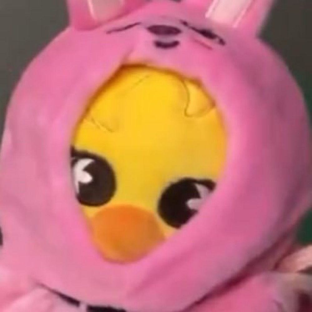 체젬