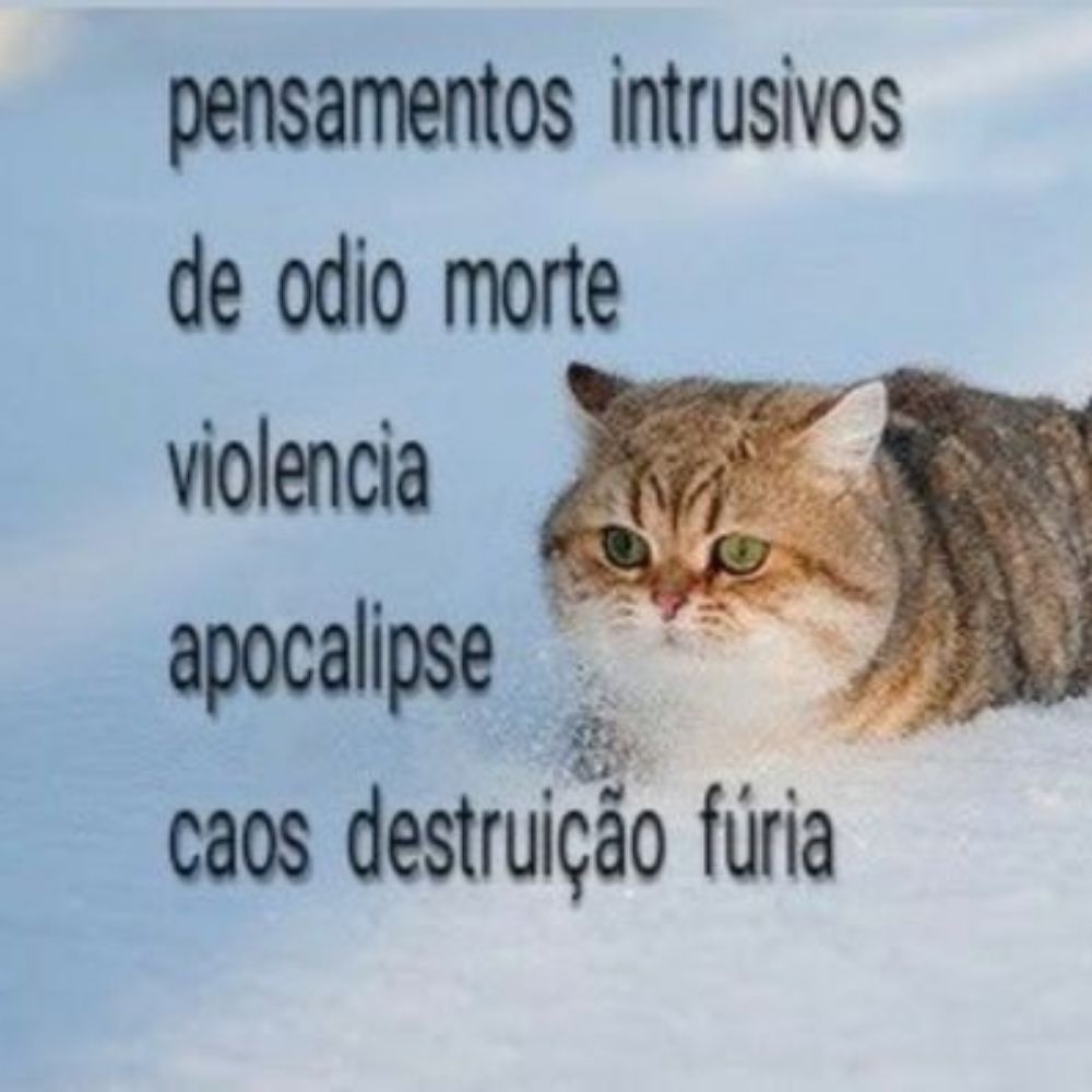 rafaaa