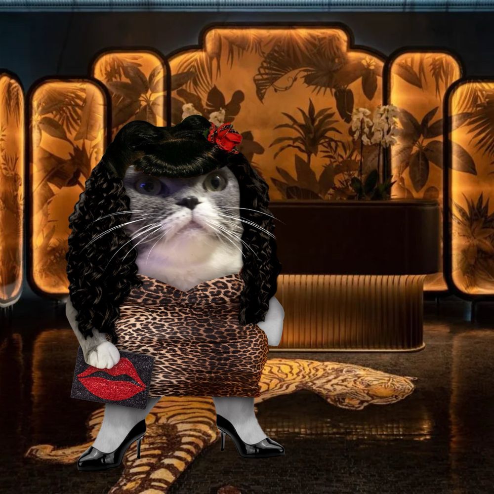 NAFO Stray Cat 🇩🇪 🇺🇦's avatar