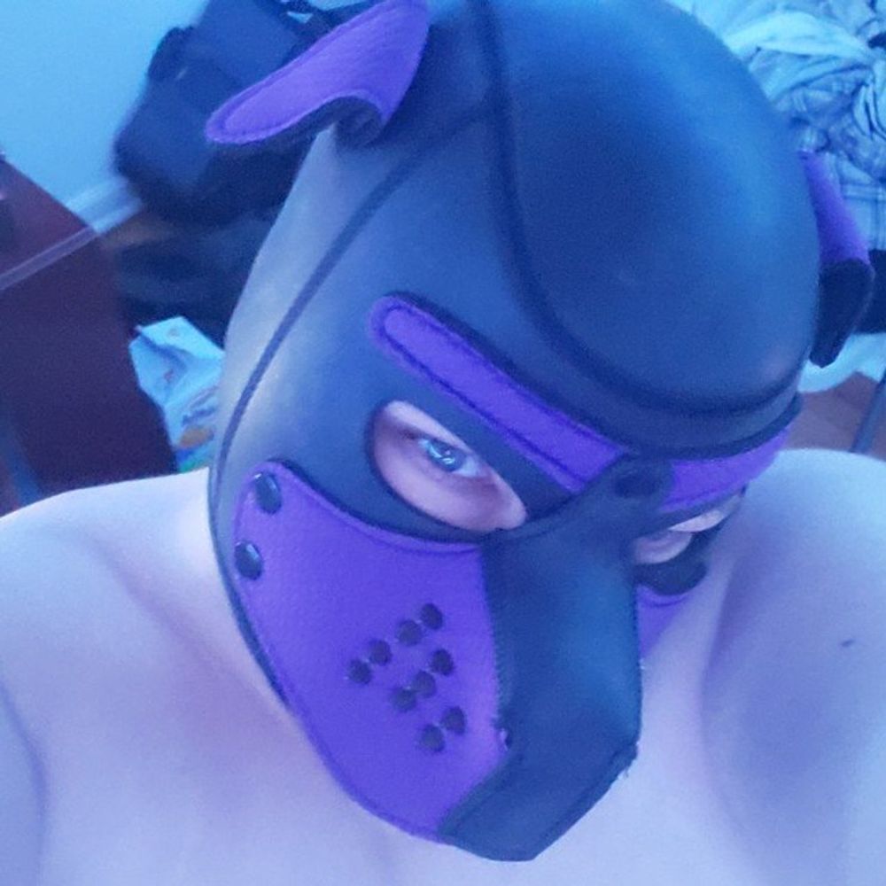 Pup Winter