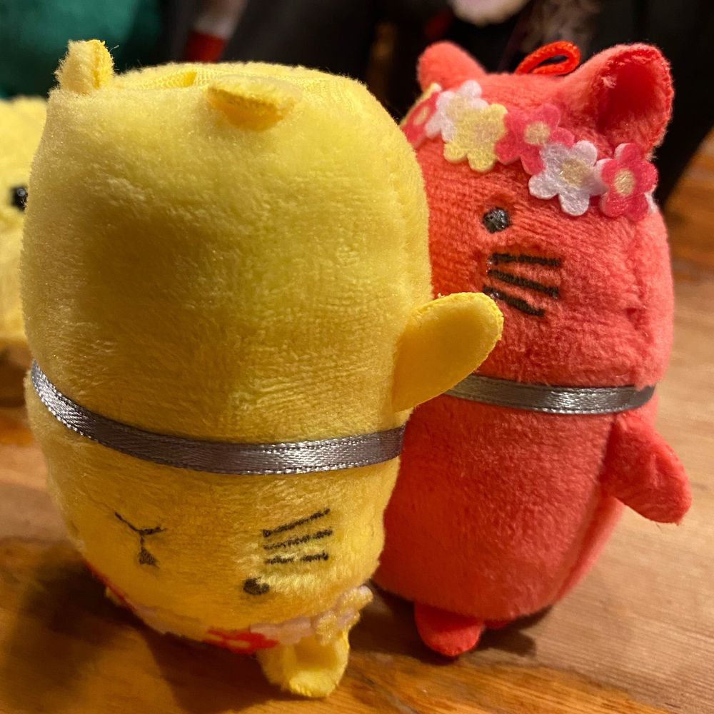 サメ