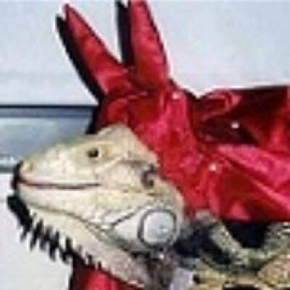 Evil.Iguana