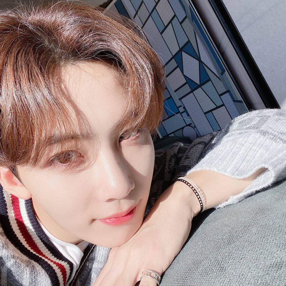 하니해