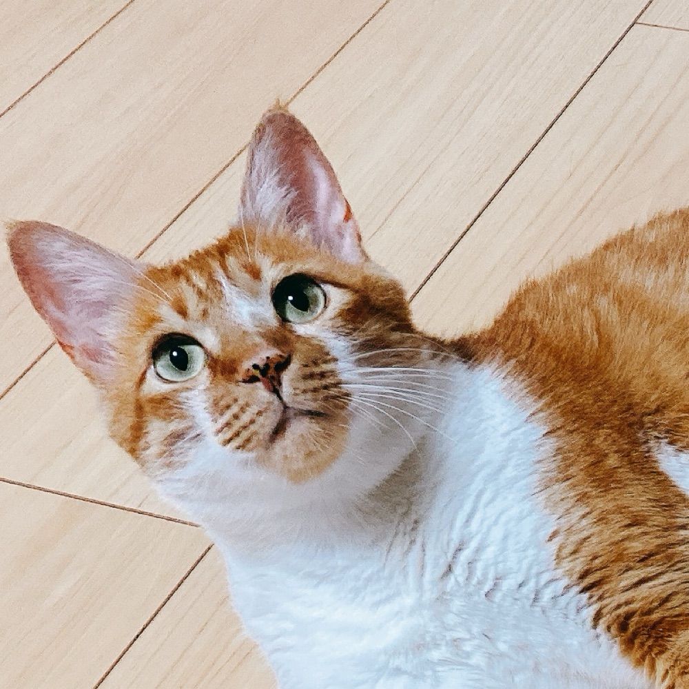 みりん