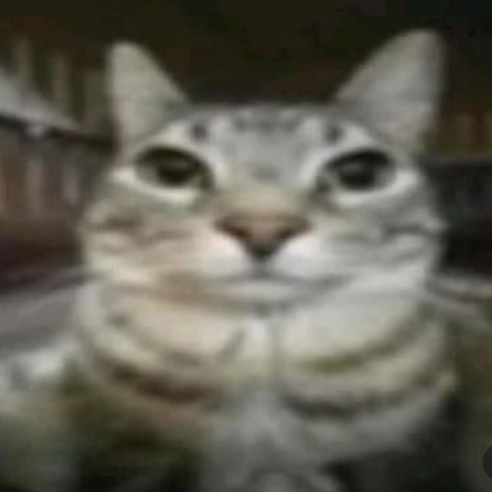 Luluiz