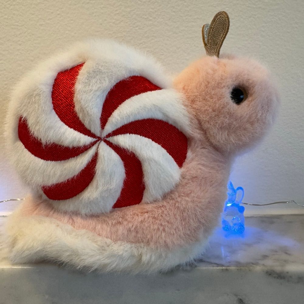 叛逆的蜗牛🐌