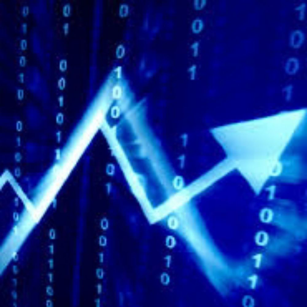 Borsa trader