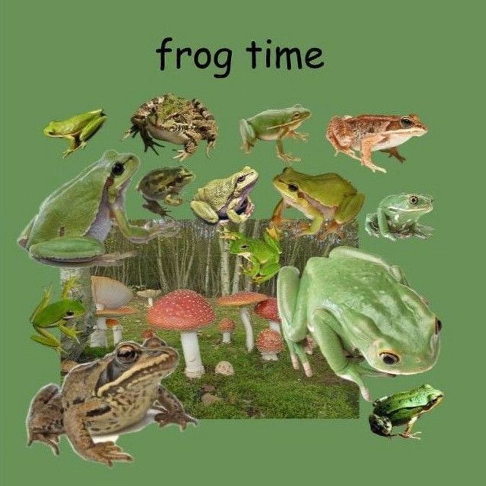 Ashling 🏳️‍⚧️🐸