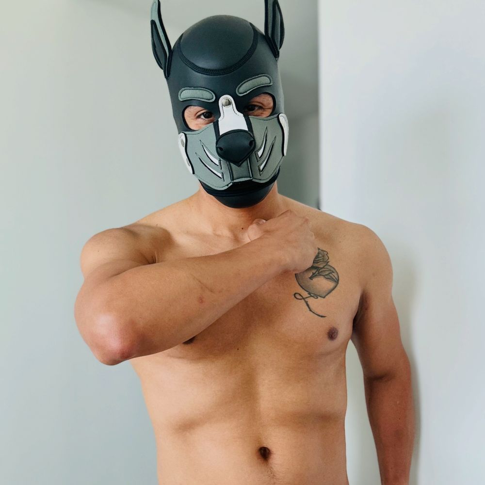 Pup Puma