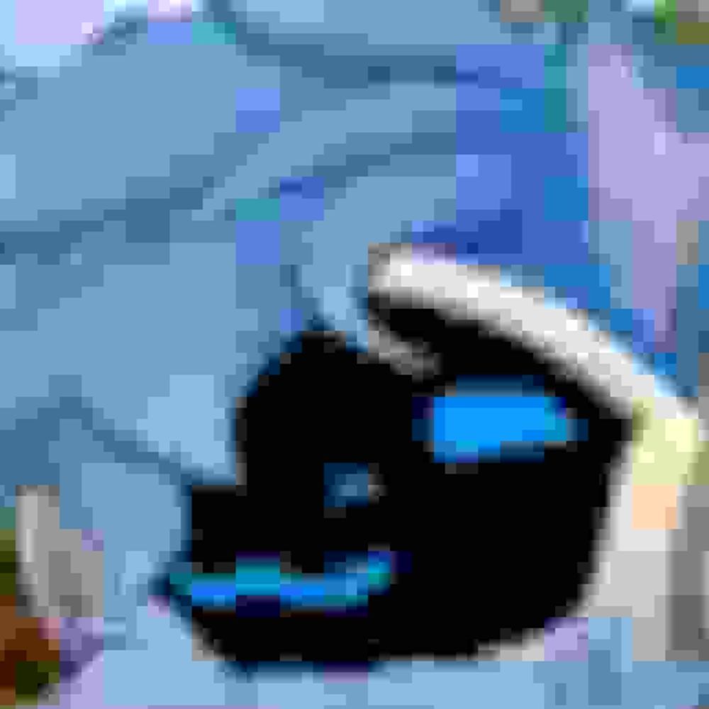 plorbo.gay profile picture