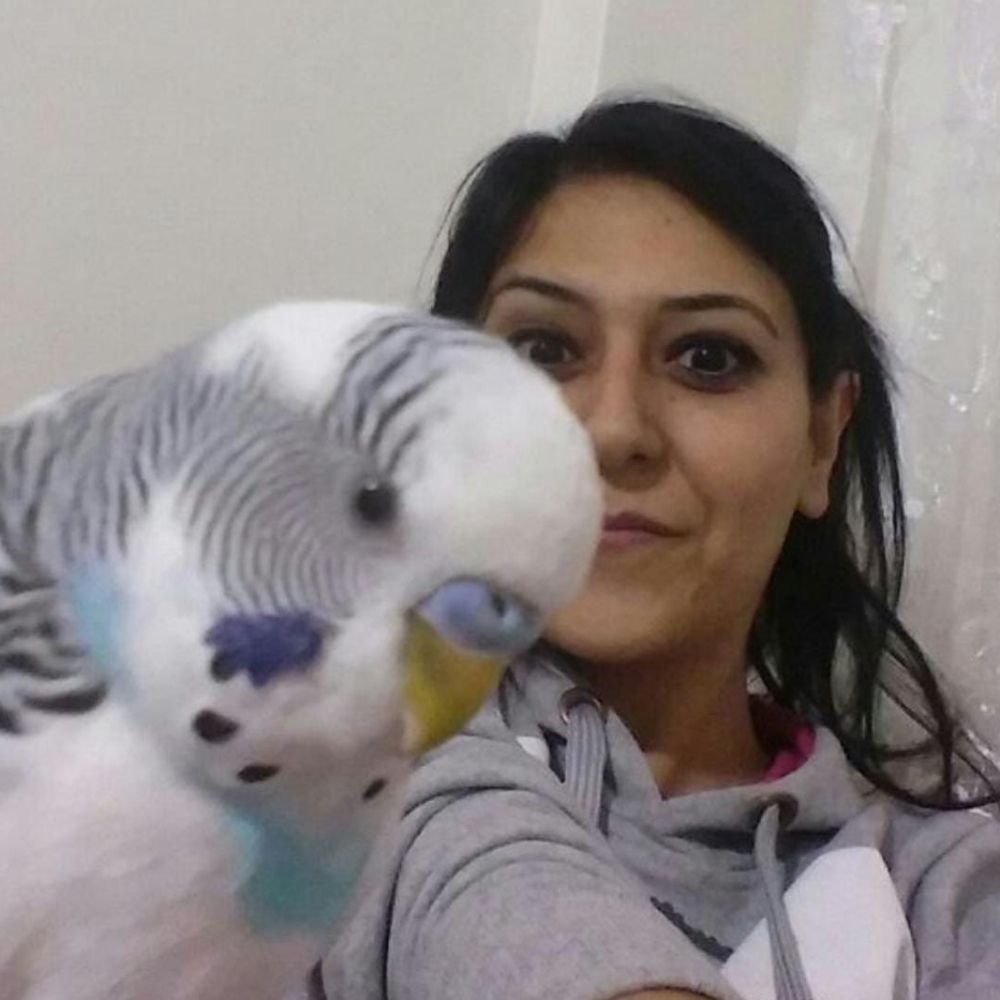 Özlem Özlem