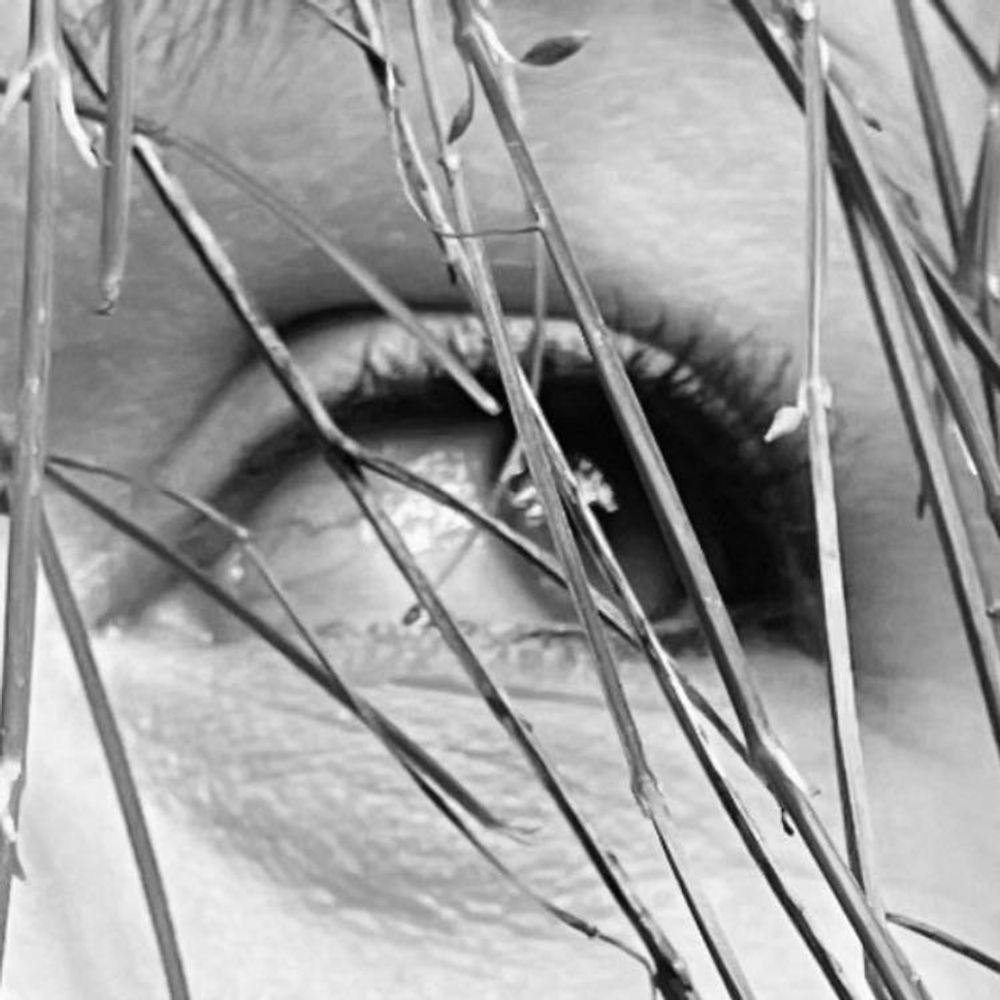 Krysta Bernhardt ~ Artist