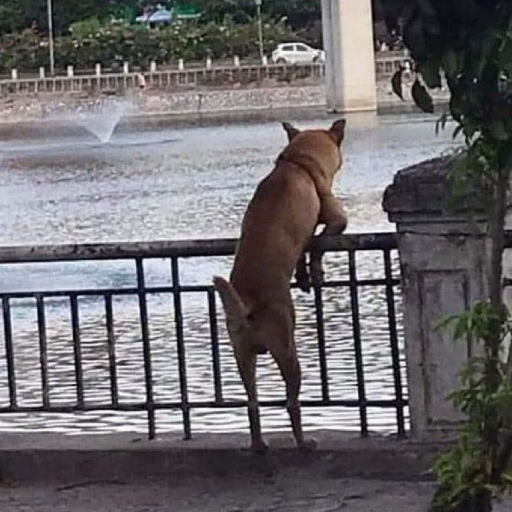 ดนวย