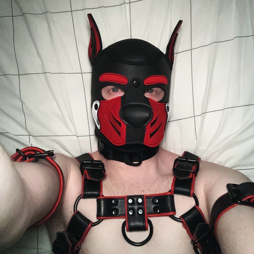 Pup Blake