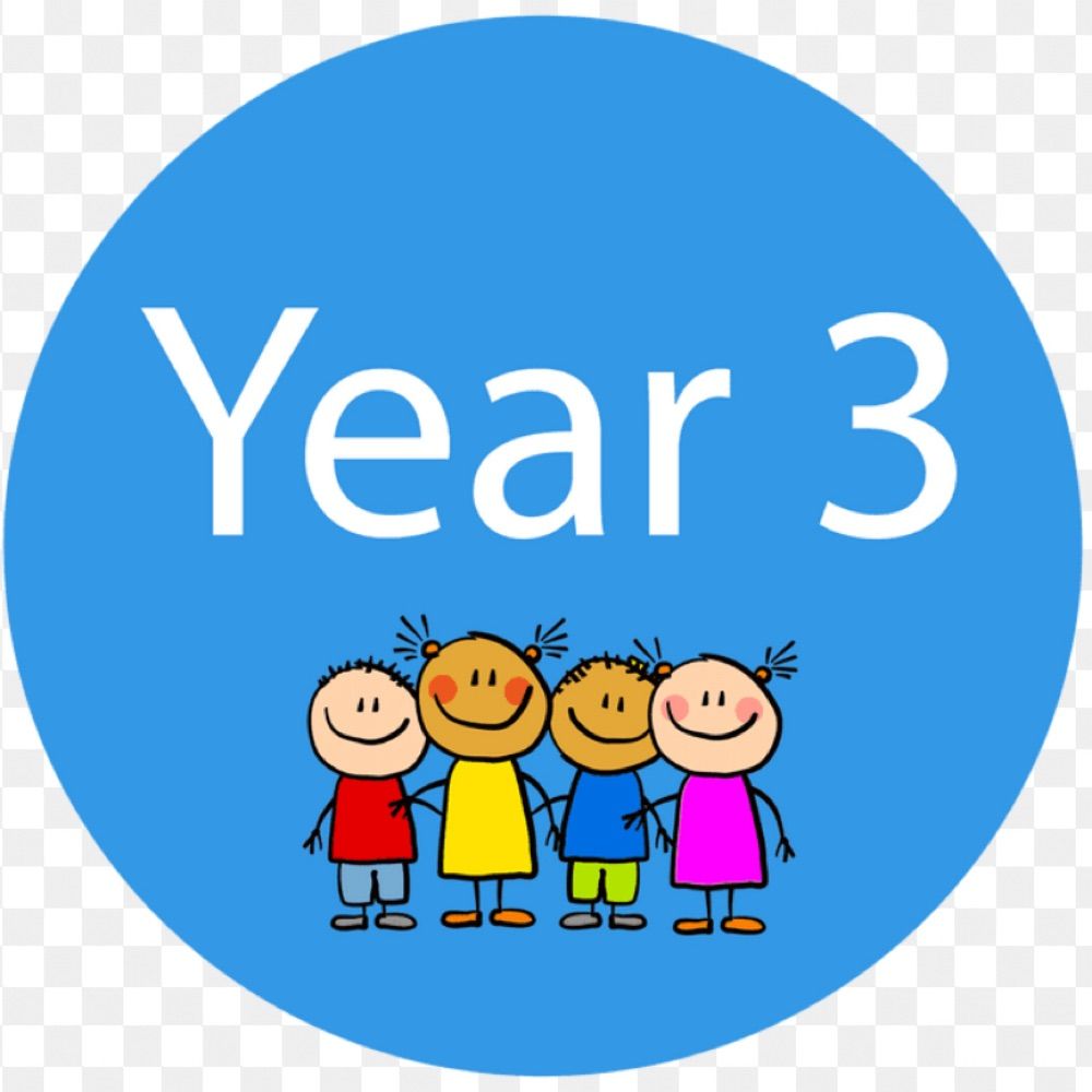 Year 3 Brunswick Park Primary School
