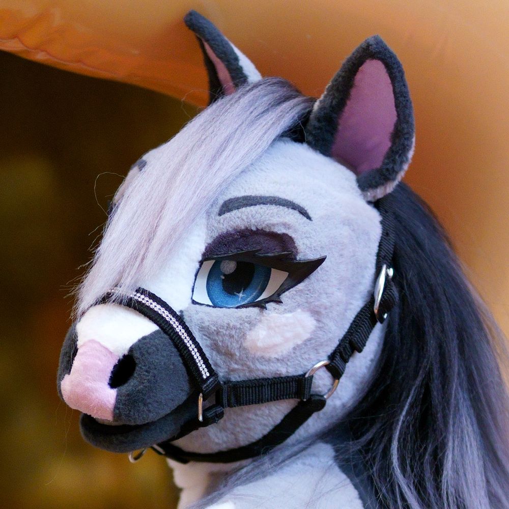 Rosehorsebabe