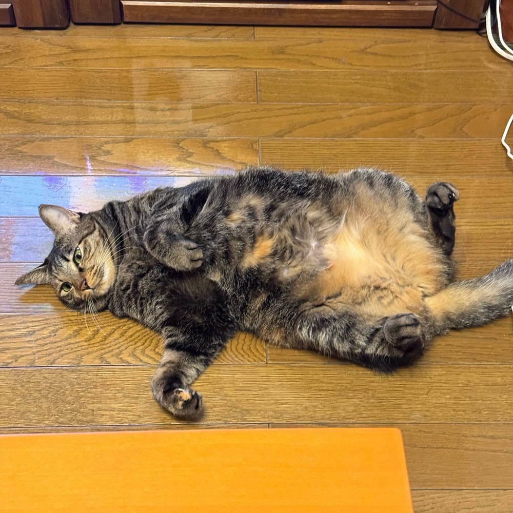 ぞうじぃ