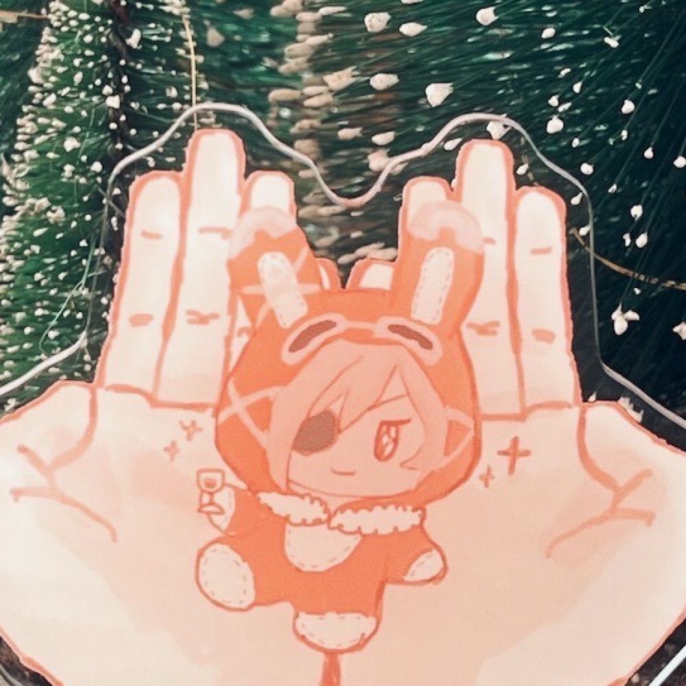 ふみかん家の🐰❄️さん