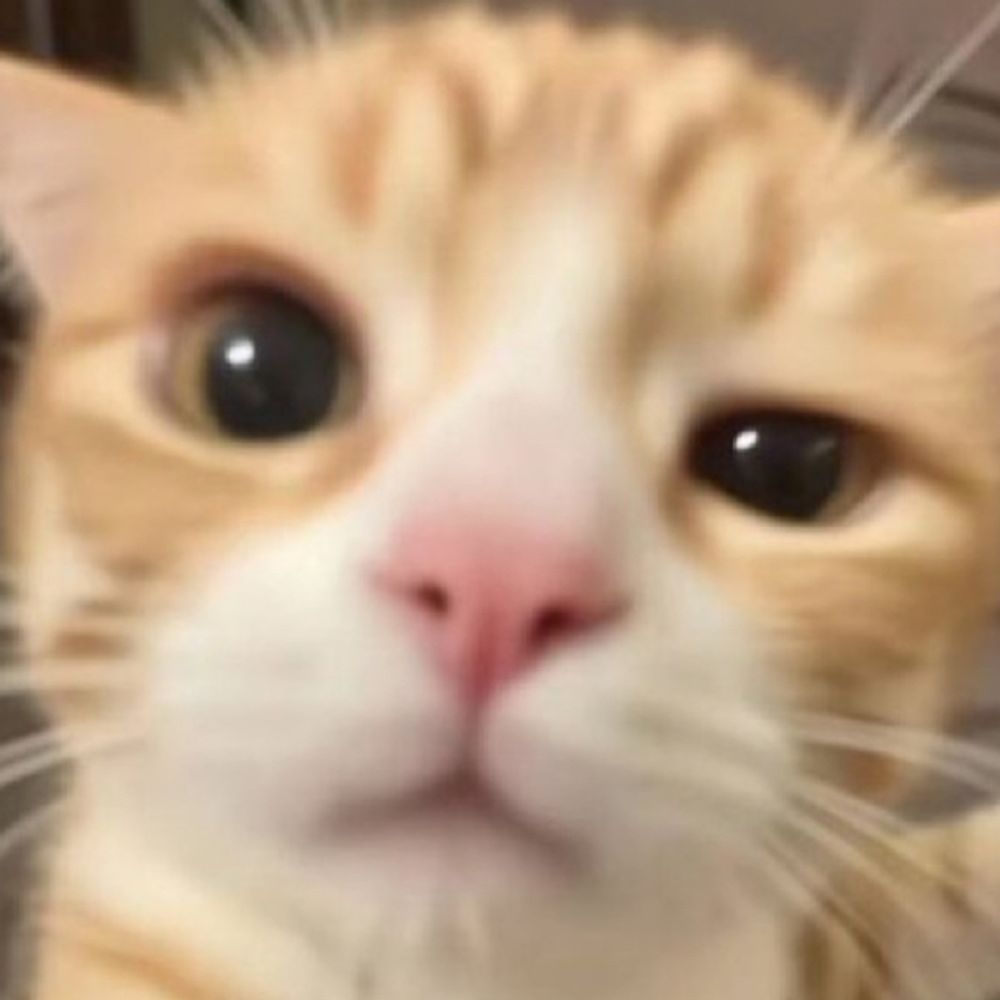 이무일