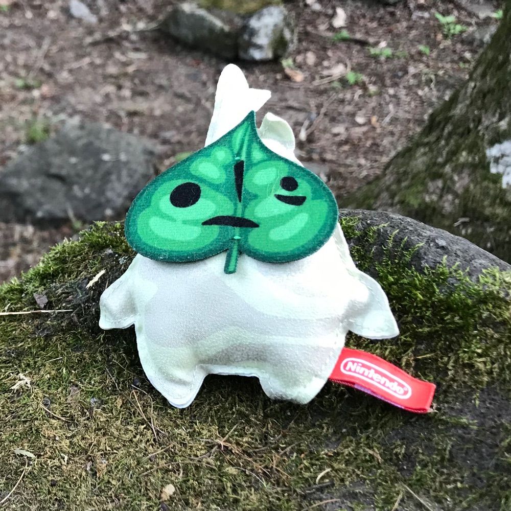 葉っぱ
