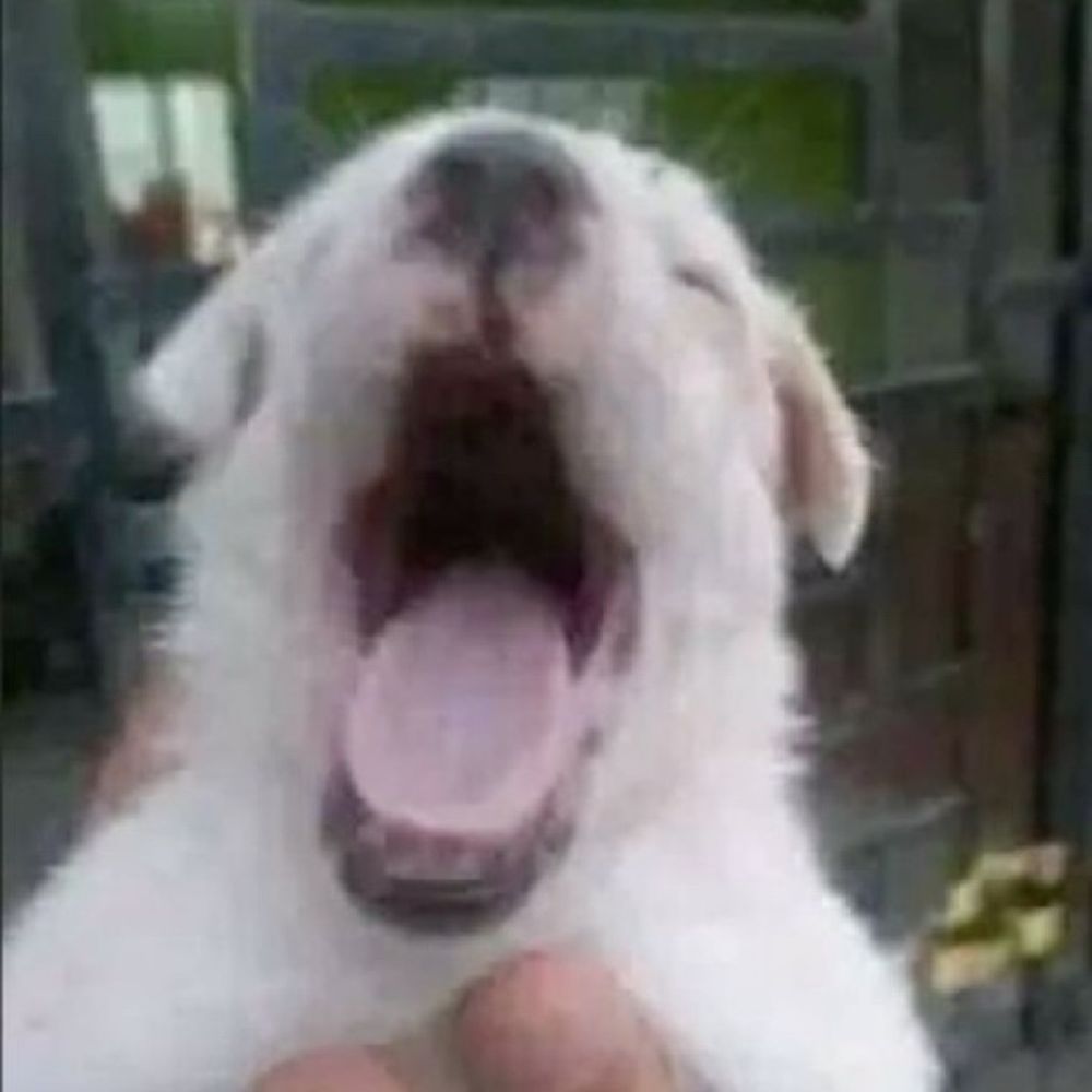 곤