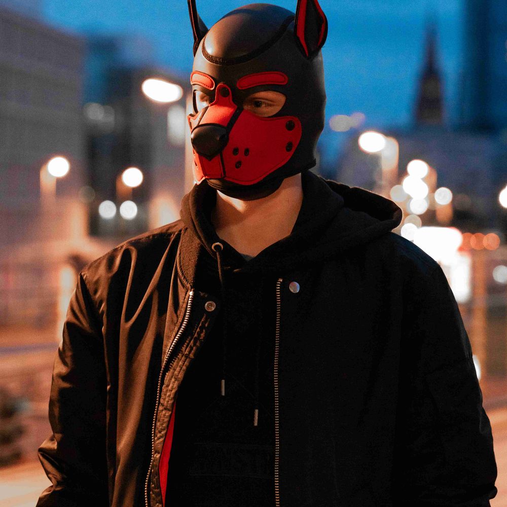Pup Fukko