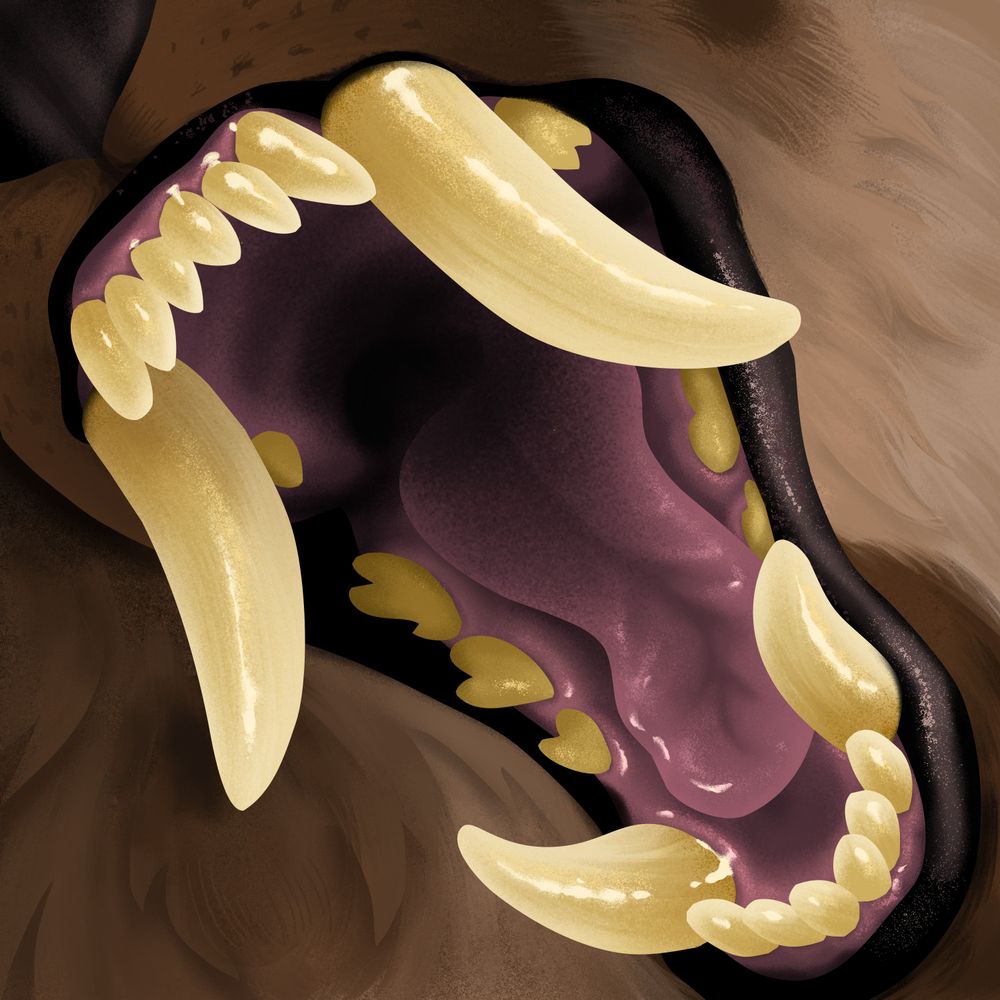 CarnassialSin