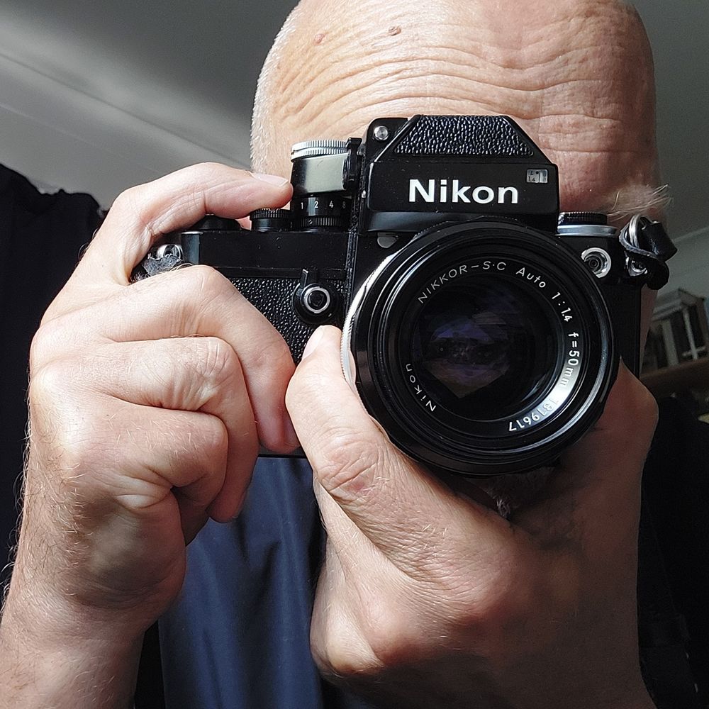 Profile picture nikonbirder.bsky.social