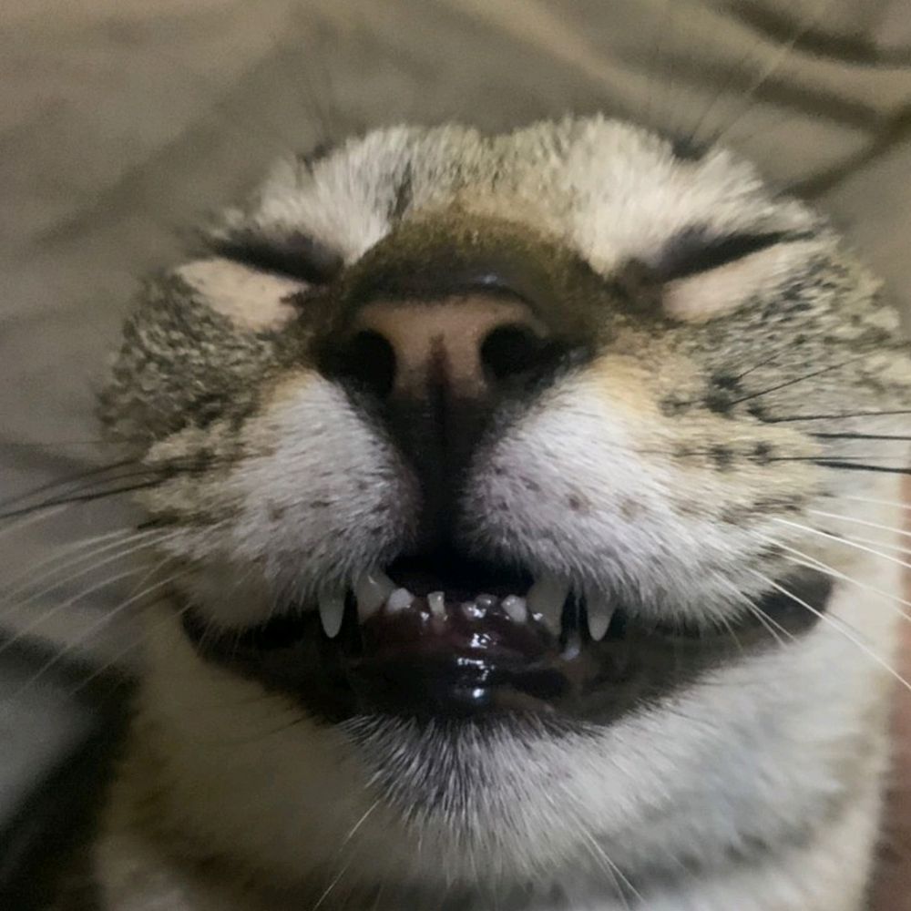 Furebiz🍃🤠