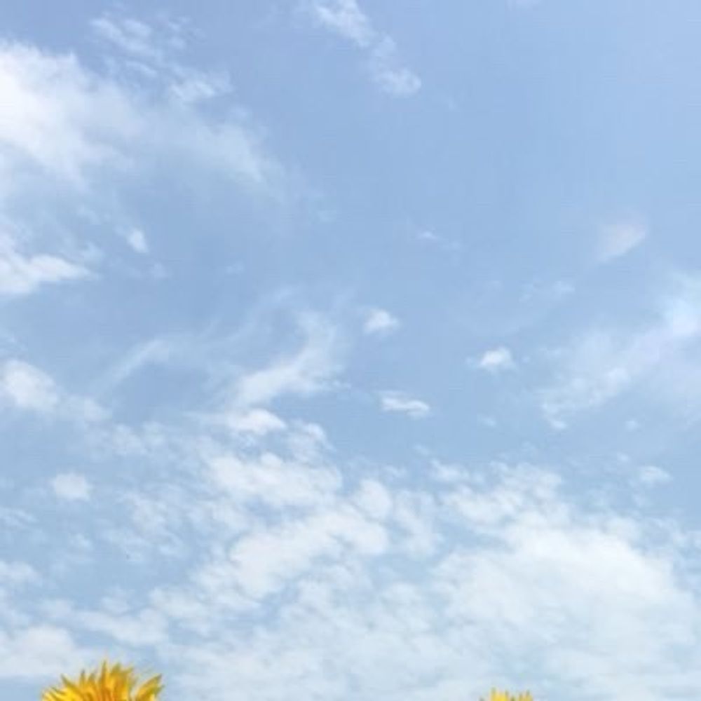 ハル