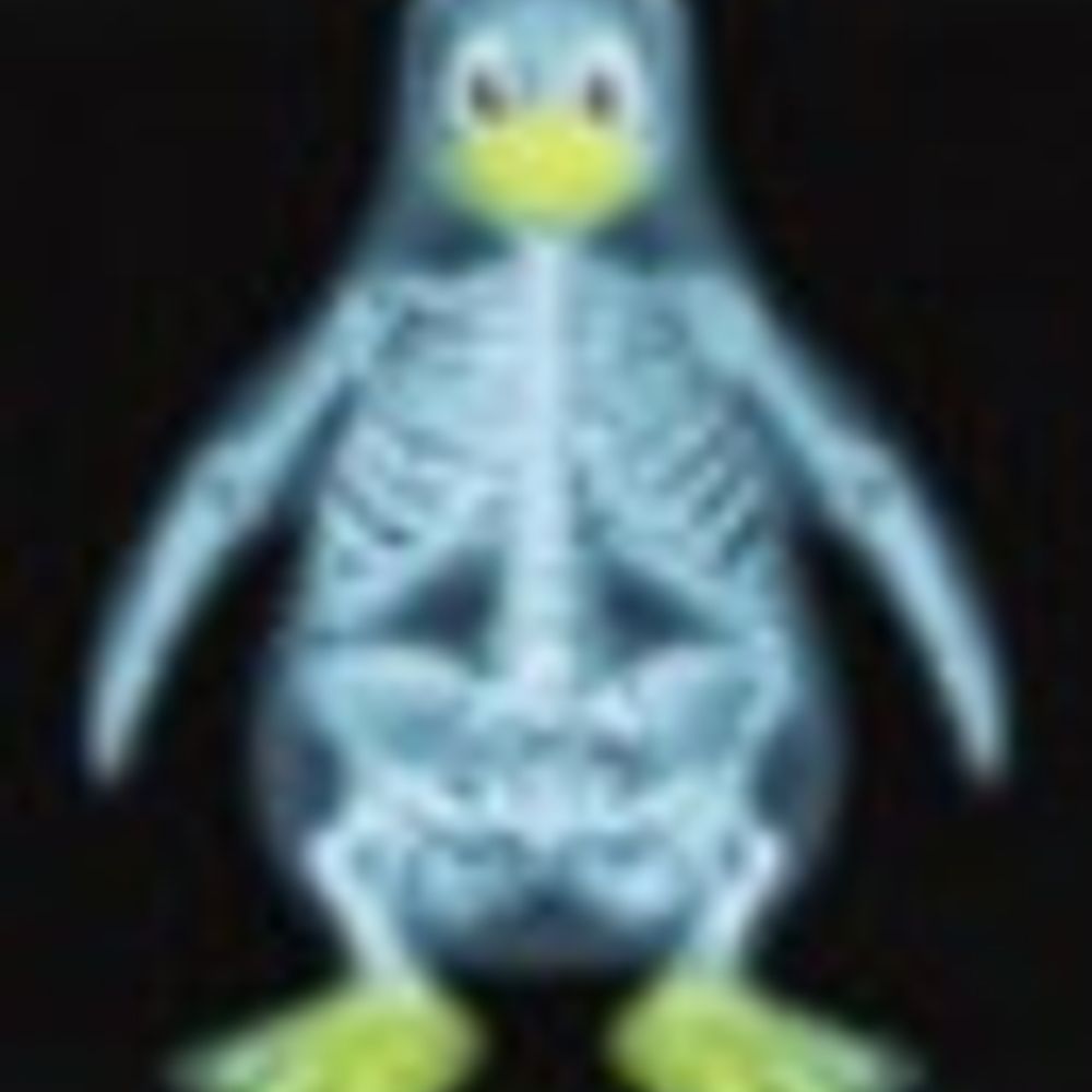 ifdsma.bsky.social profile picture