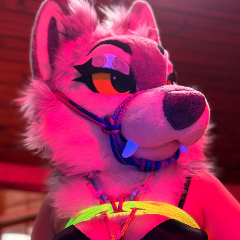 🪢 🐾  Shibarki (21+)