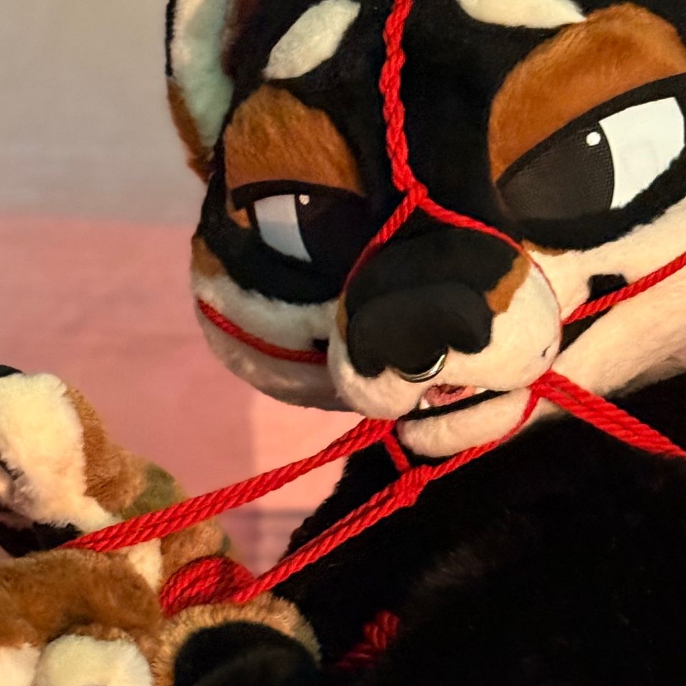 🪢 🐾  Shibarki (21+)