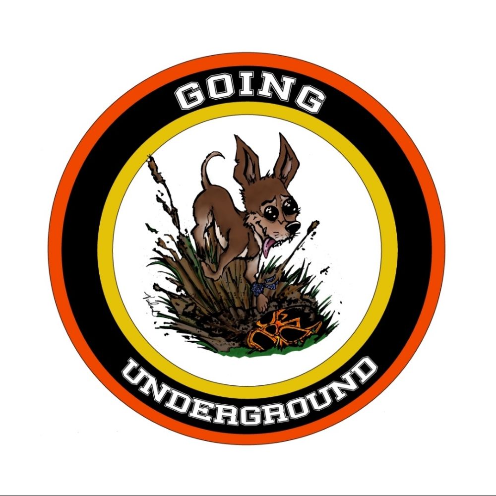 Going Underground Podcast