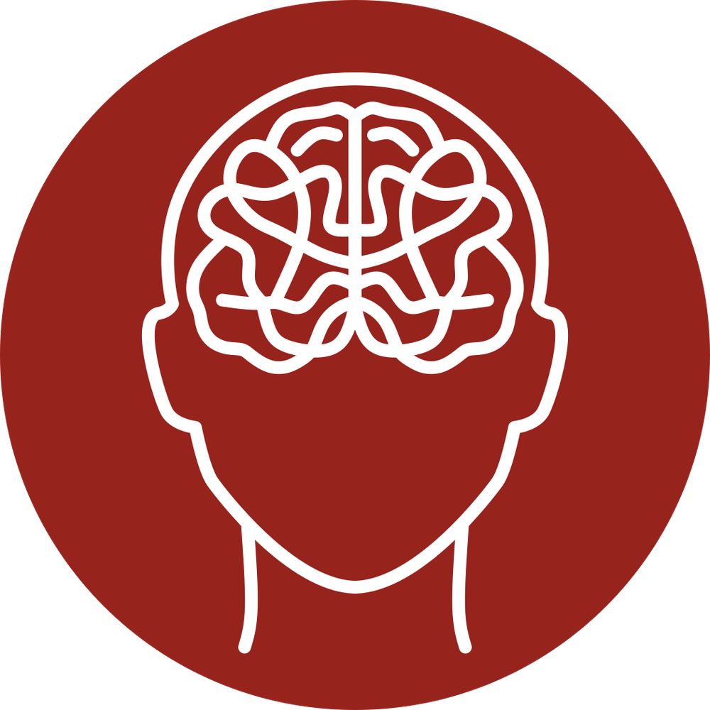 Psychologie & Gehirn 2025