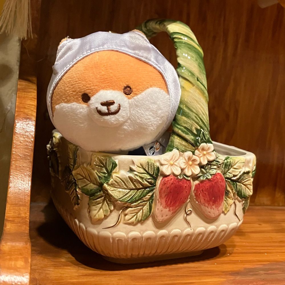 風華/ねぼすけ