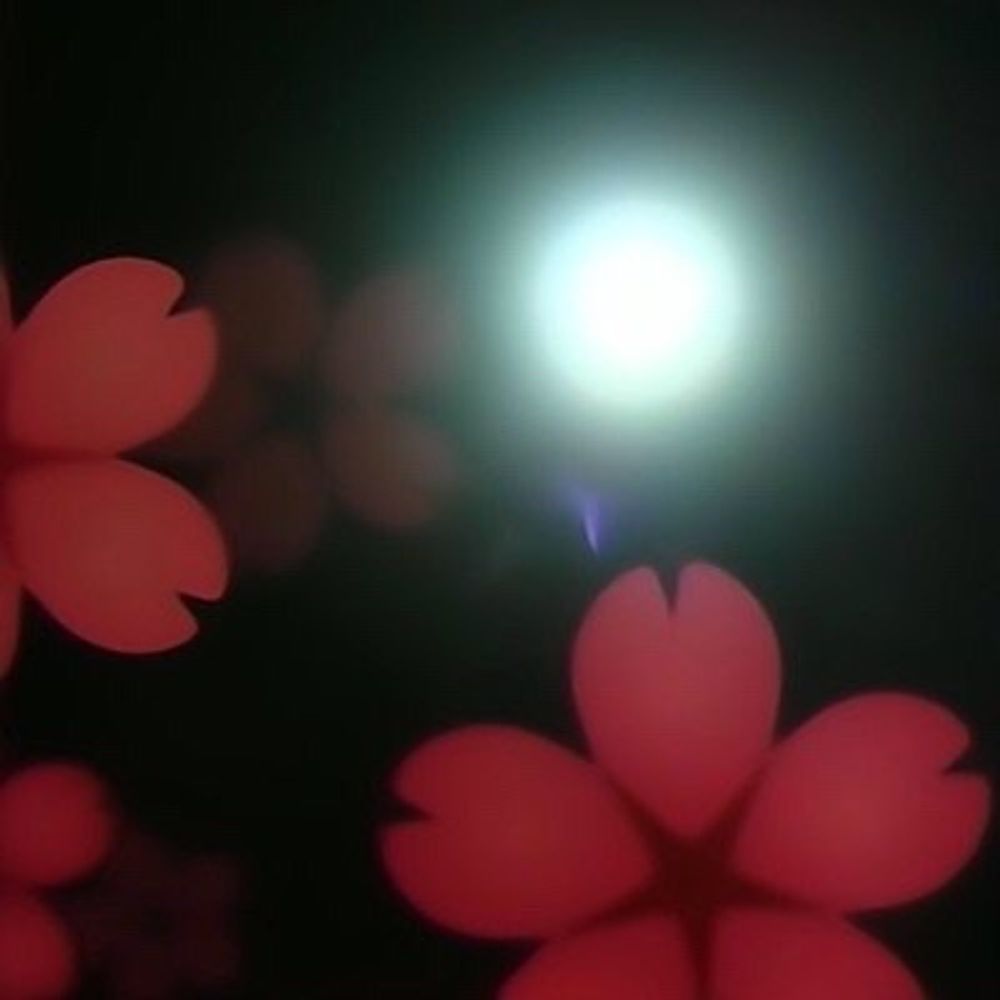 夜桜UFO