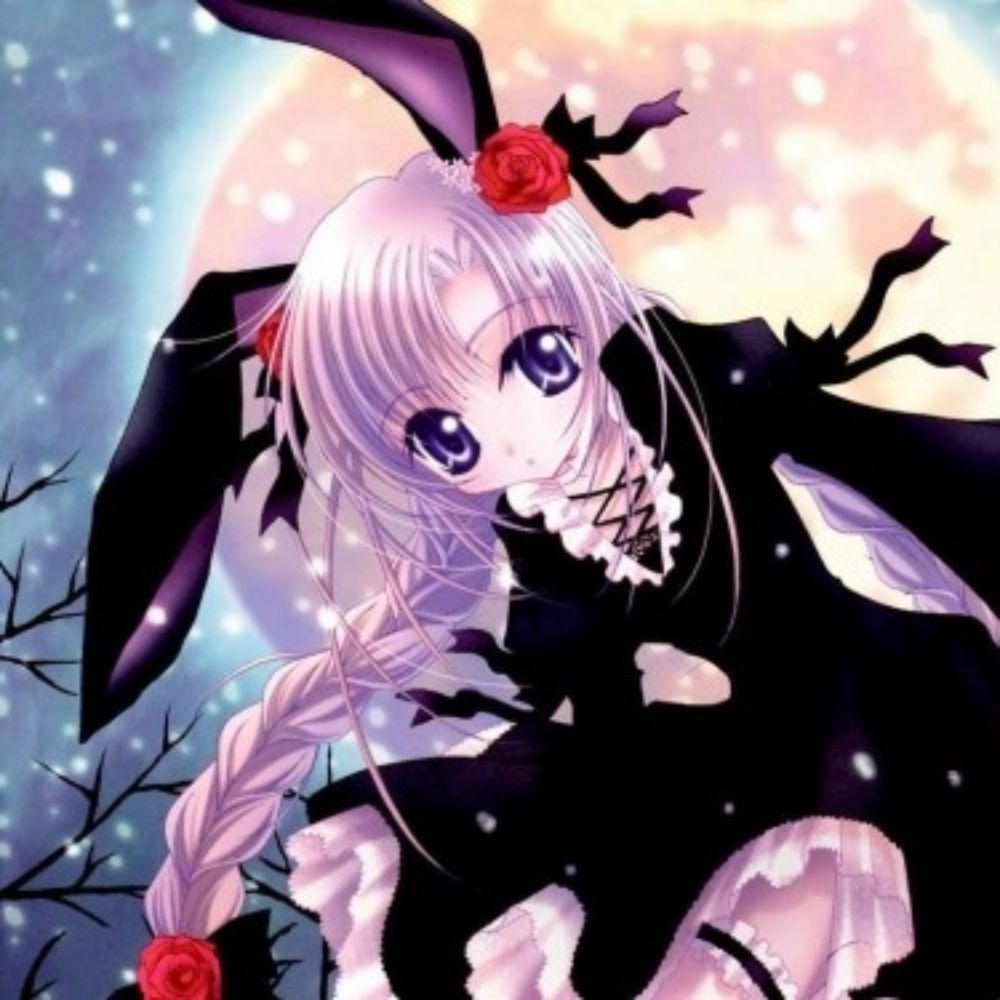 🐰