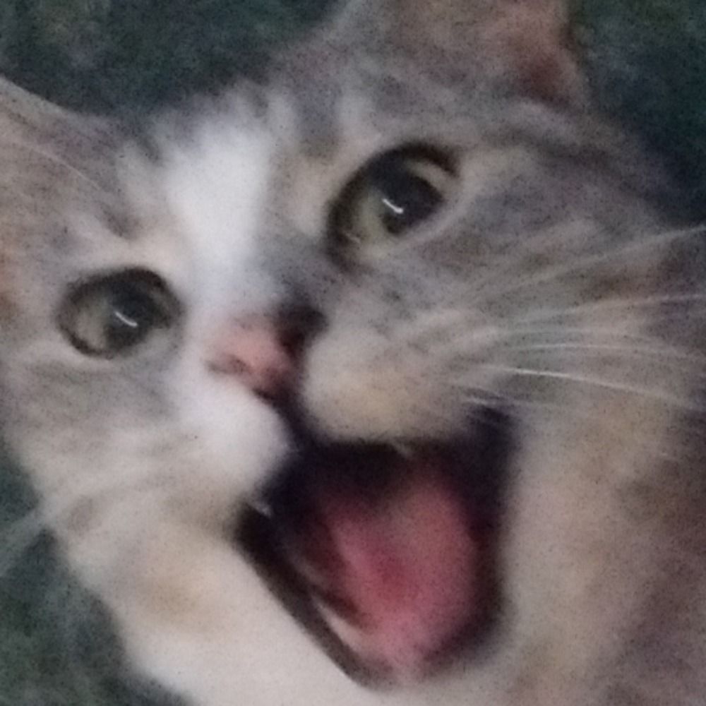 Danni