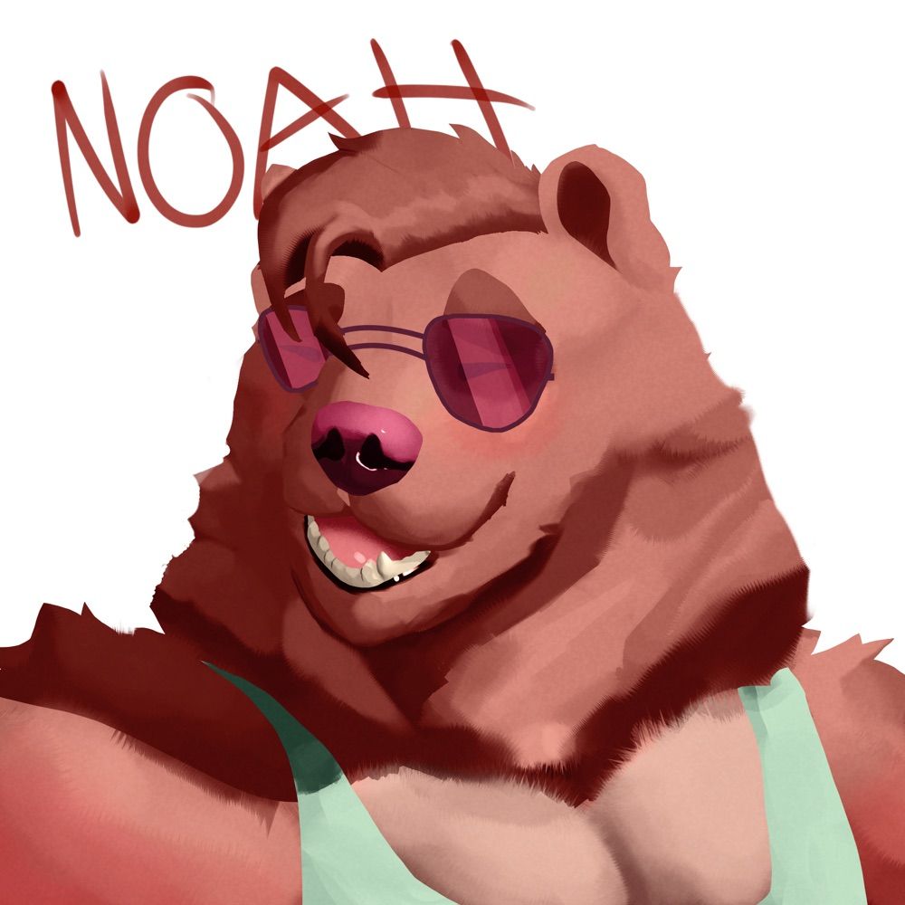 Noahthatbear