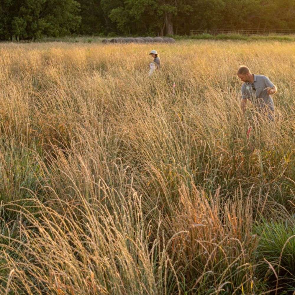Sustainable Farming