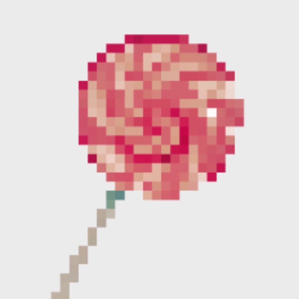 🌷マ🌷